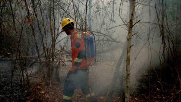 Pausa ecológica debe llegar a Amazonía,  valles y cabeceras del departamento paceño