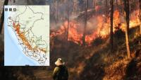 Congresista critica inacción  frente a incendios forestales