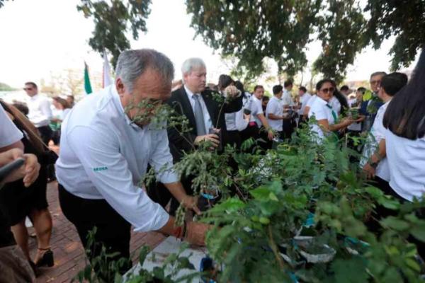 Comienza plan de reforestación de bosques