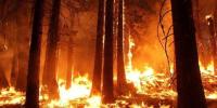 EEUU entrega $us 100.000 de ayuda humanitaria para afrontar incendios