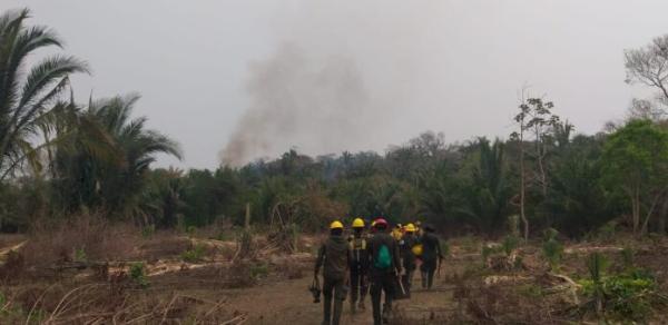 Concepción denuncia falta de  coordinación para sofocar el fuego