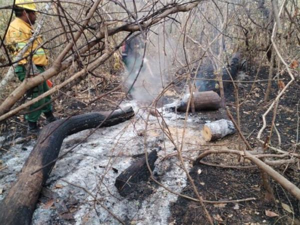 CAO pide una estrategia conjunta  para combatir los incendios