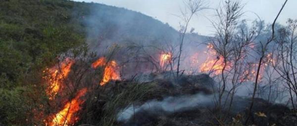 Confirman avasallamientos en Bajo Paraguá,  donde los incendios fueron provocados