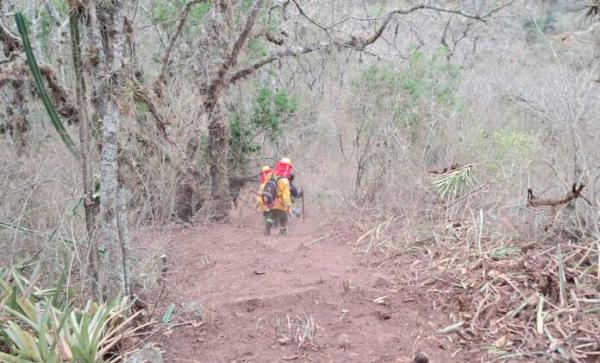 No hubo coordinación con el  Gobierno para sofocar incendios