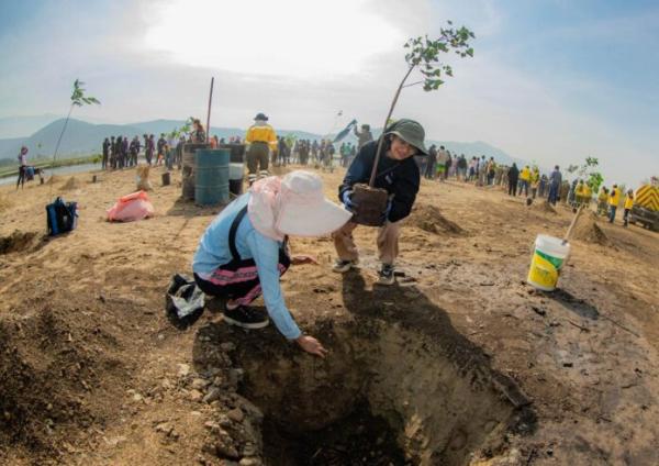 Colocan 2.000 árboles en laguna Alalay y OTB San Juan Bosco