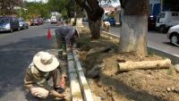 Mejoran  avenida  Heroínas