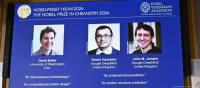 Premio Nobel de Química tiene tres ganadores por diseño de proteínas