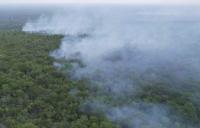 Lluvias sofocan incendios forestales en diez municipios de Santa Cruz