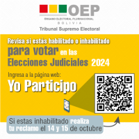 Recursos contra las judiciales  deben resolverse a favor del país