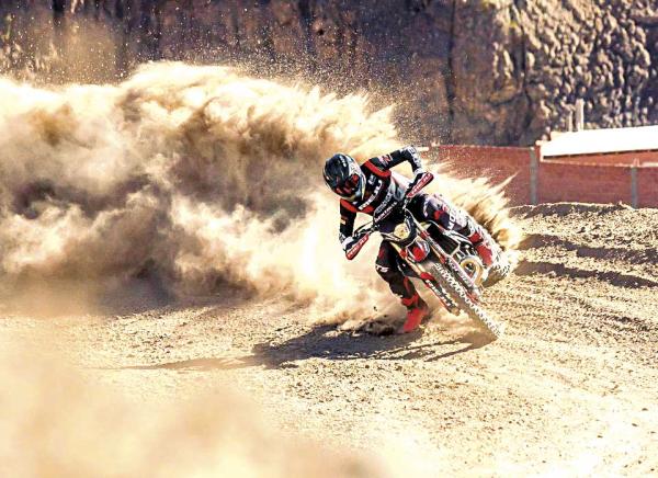 La tricolor flameará en el Dakar