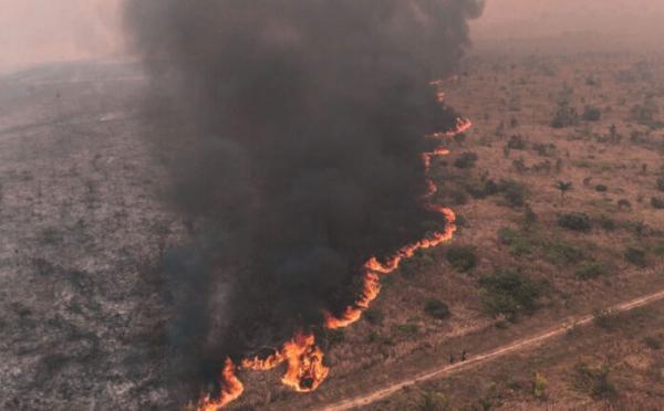 Fuego arrasa 49.000 hectáreas  en el Parque Nacional Madidi