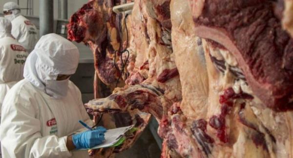 Aseguran que sólo 10% de la  producción de carne se exporta