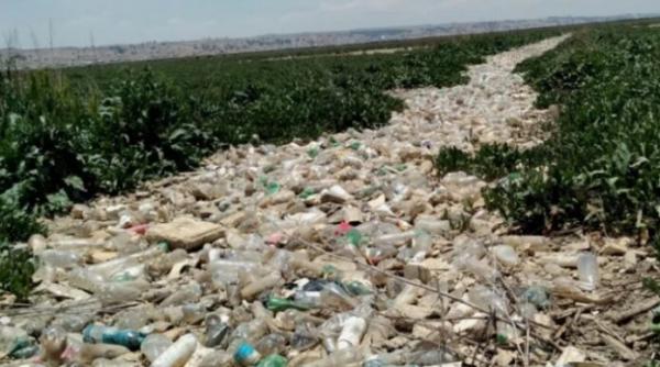 Basura, metales y aguas  residuales fluyen al Titicaca