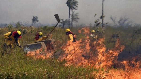 Relator de CIDH evalúa en Bolivia el impacto de incendios forestales