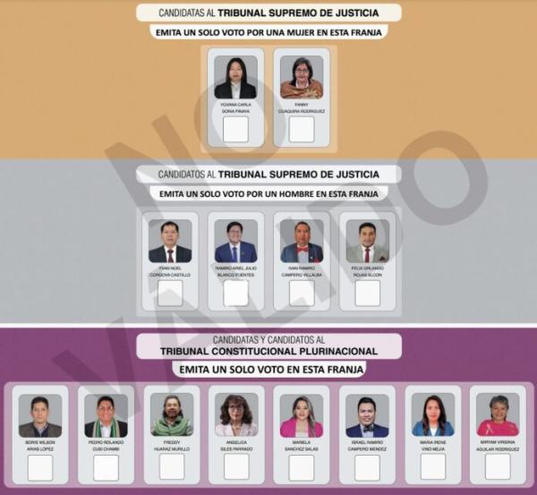 Elecciones judiciales no resolverán crisis del sistema judicial boliviano