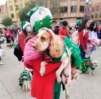 “Santa”, duendes, Grinch y personajes de películas dominaron Desfile Navideño