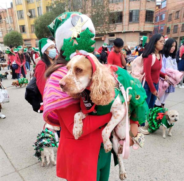 “Santa”, duendes, Grinch y personajes de películas dominaron Desfile Navideño