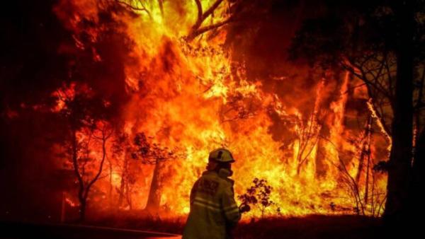 Ordenan traslados por incendios forestales sin control en Australia