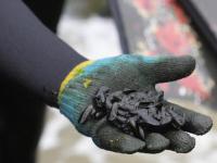 Emergencia ambiental por derrame de petróleo en el mar