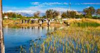 Constatan buena calidad del agua en laguna Alalay