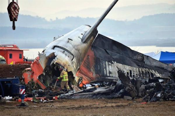 Investigadores de accidente de avión  confirman resto de plumas en motores