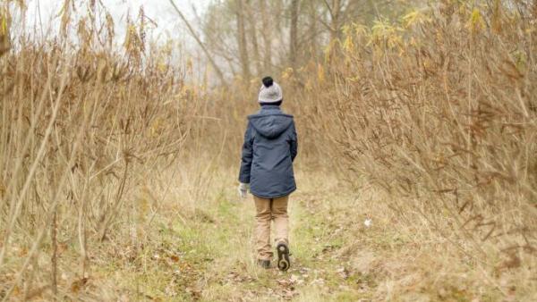 Tabú de abusos sexuales a menores en la familia