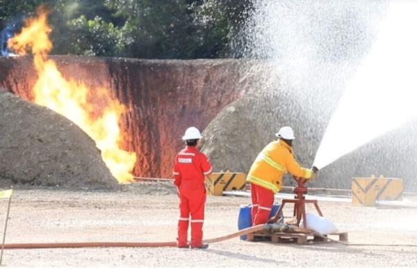 Núcleo de la reserva Tariquía   convertido en campo petrolero