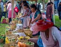 “Tuna Fest” se realizó en Cochabamba