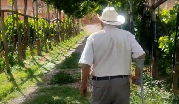 El corazón del singani  y el vino late en Camargo